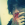 Rian S.