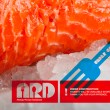 ARD | Branding, Web Concept