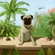 Pug in spider land