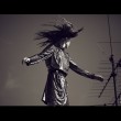 The Equilibrist
