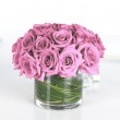 Lavender Rose