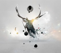 Rendeer